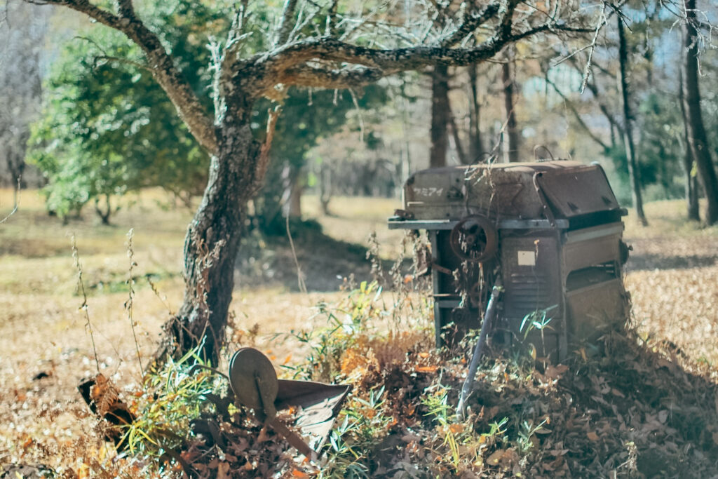 THE-NOMAD_Mt.YATSUGATAKE_55 八ヶ岳の木と廃材