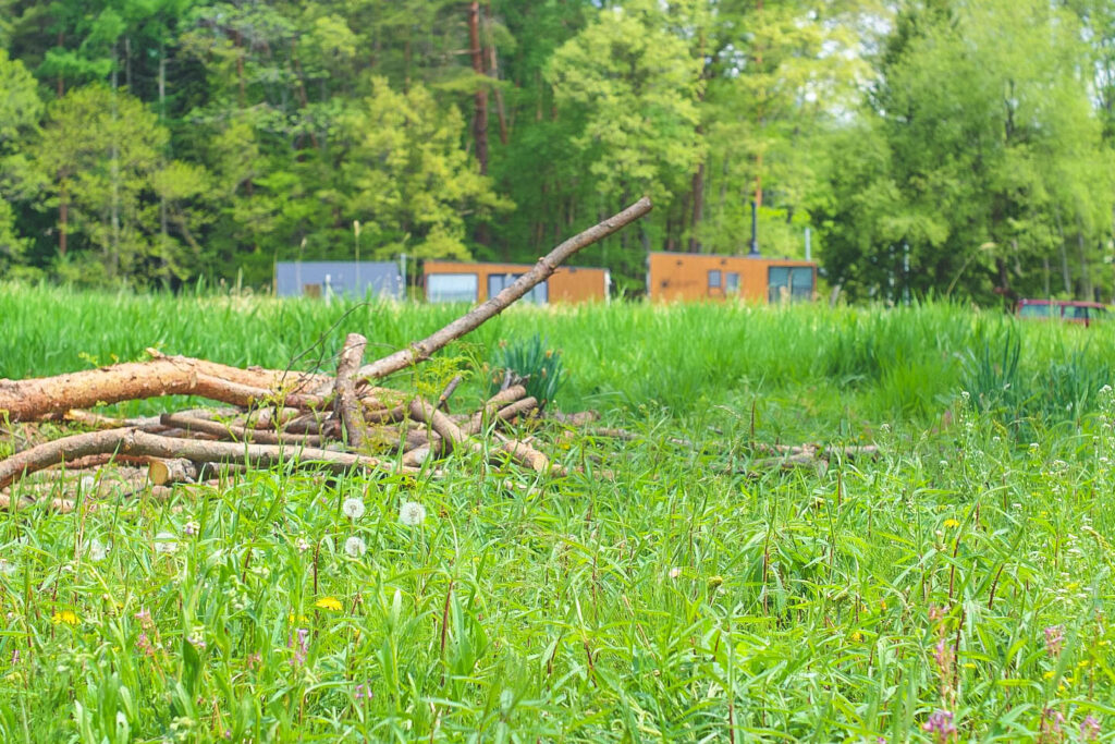 Peaceful moment in Nature-1 木とホテルのトレーラーハウス