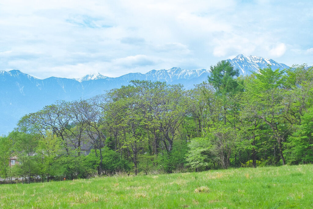 YOUR PLACE-1 八ヶ岳の森と山々