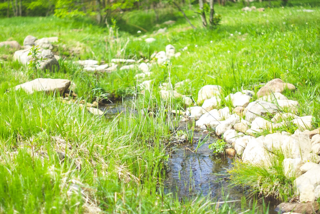 YOUR PLACE-2 草木と岩と小川