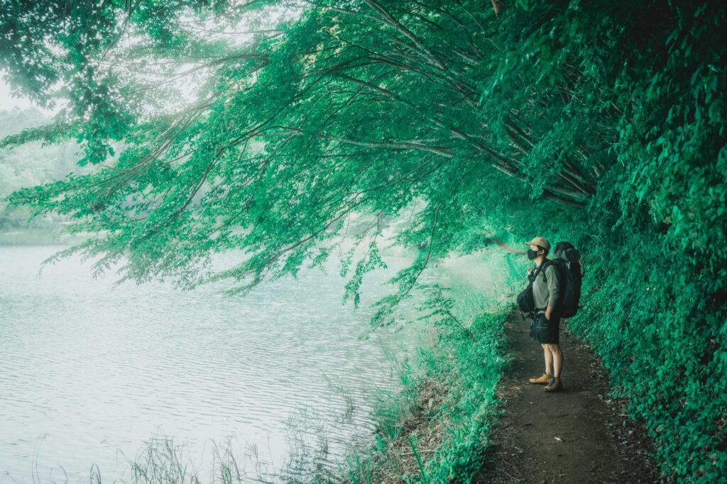 緑豊かな森と湖のそばに立つ人