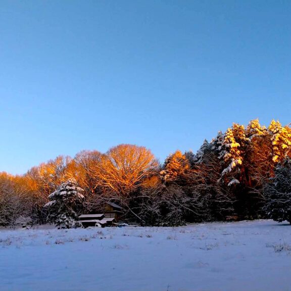 ザ・ノマド 八ヶ岳の雪景色