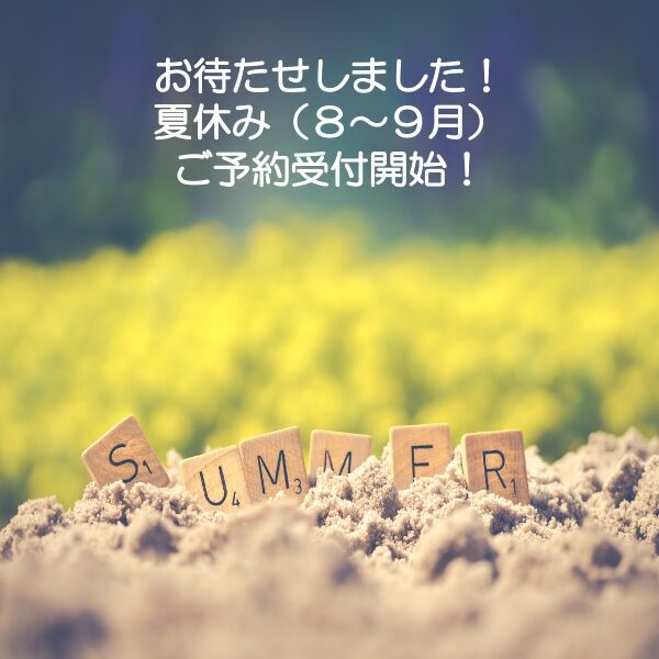 土の上のSUMMERの文字が描かれた積み木